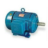 Motor induccion trifasico