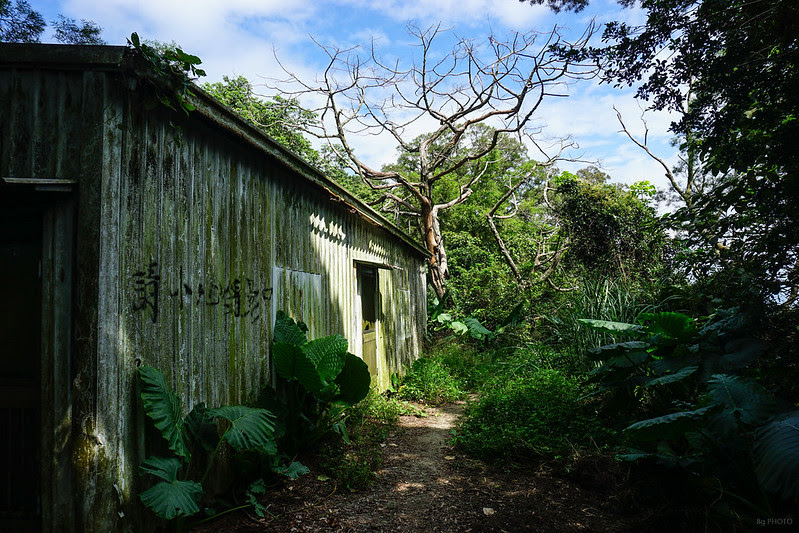 DSC01707