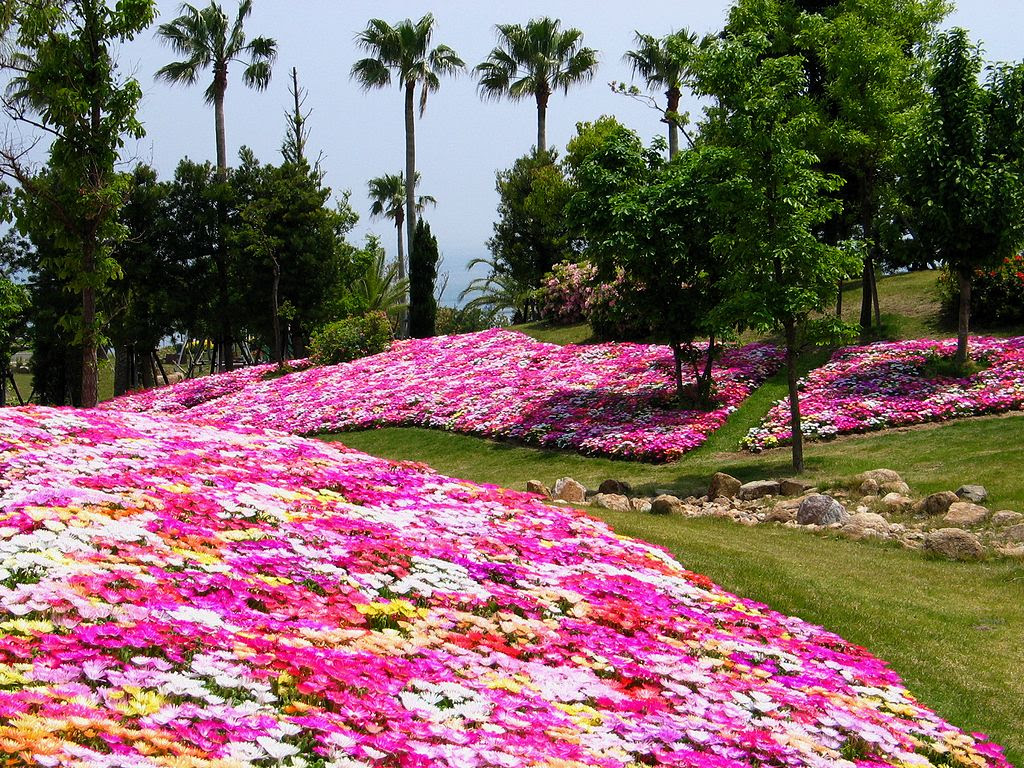お花畑と花壇の壁紙写真 四季の彩り壁紙写真集