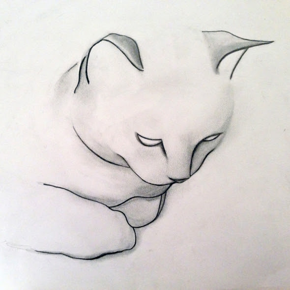 Kellas Campbell Esquisse les Chats avec Malice - MaxiTendance
