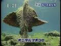[10000印刷√] 危険 生物 海 167990-出会ったら死 危険生��海