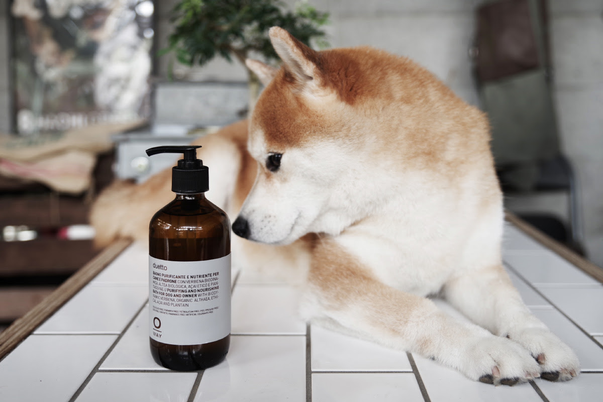O Way Duetto 人 犬兼用オーガニックシャンプーのお取り扱い開始 Eight Salon エイトサロン 名古屋市北区の美容院 By Eight Design