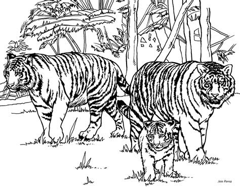 By team mom loves best. tiger family coloring pages clip art library