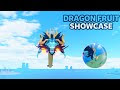Dragon fruit one piece roblox 619615-Dragon fruit one piece roblox