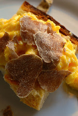 scrambled eggs with truffle