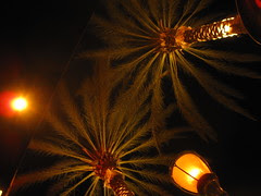 In Anaheim! Cheesecake Factory! 3
