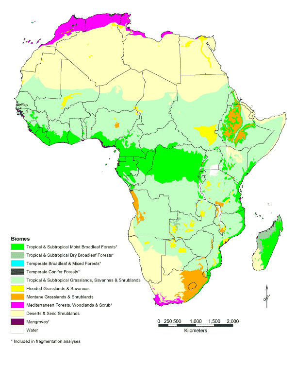 World Wildlife Fund biomes for Africa. After Olsen et al. (2001).