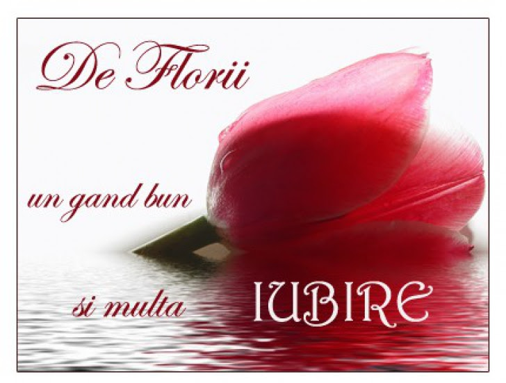 Mesaje De Florii Cu Imagini Cele Mai Frumoase Felicitări Cu Flori