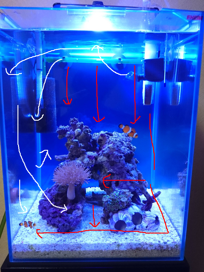 小型水流ポンプを設置してみました 30cm水槽の海水魚飼育
