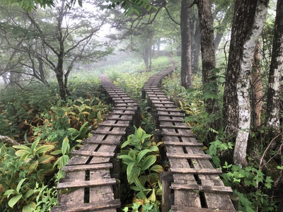 山へ スキーへ 大室山へ 道志の湯より 山梨百名山62座目