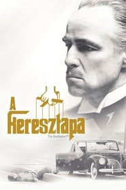 Kép