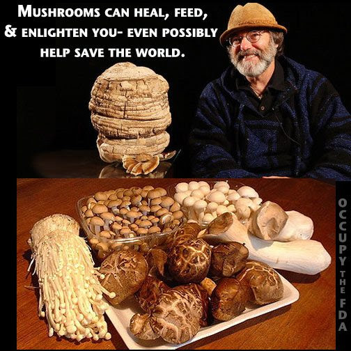 Good Health and Edible Mushrooms: Nature's Most Researched Anti-Cancer Agent. Elvonda