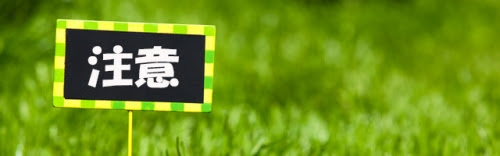 セキショウの育て方 色々な育て方の情報 育て方ボックス