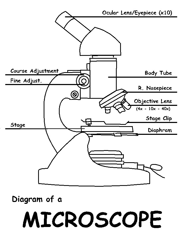 Free Microscope Drawing, Download Free Microscope Drawing png ...