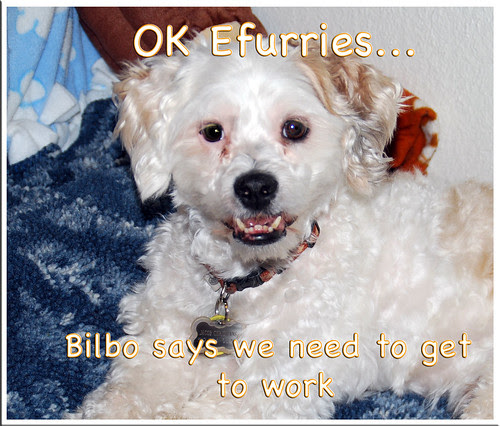 Bilbo-says