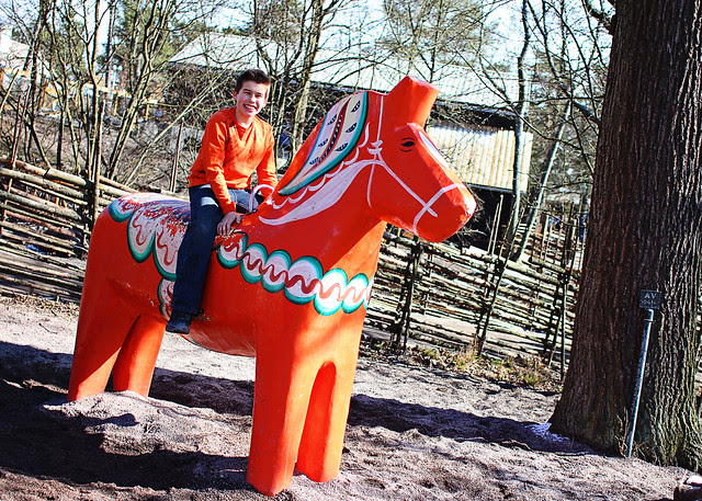 joey swedish horse