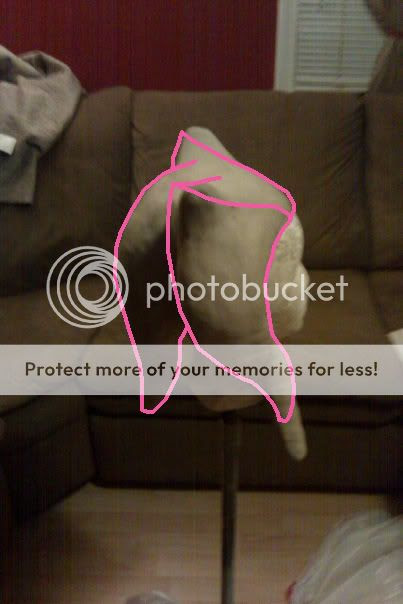 ahsoka tano new look. Re: Ahsoka Tano - Revisting my