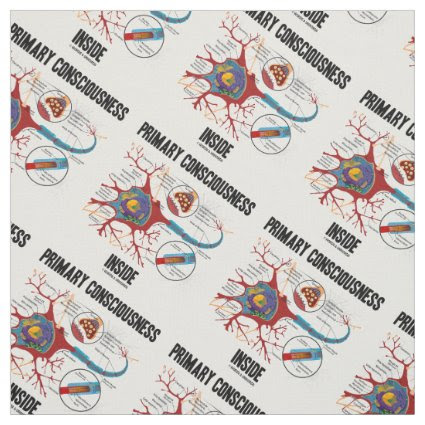 Primary Consciousness Inside Neuron Synapse Fabric