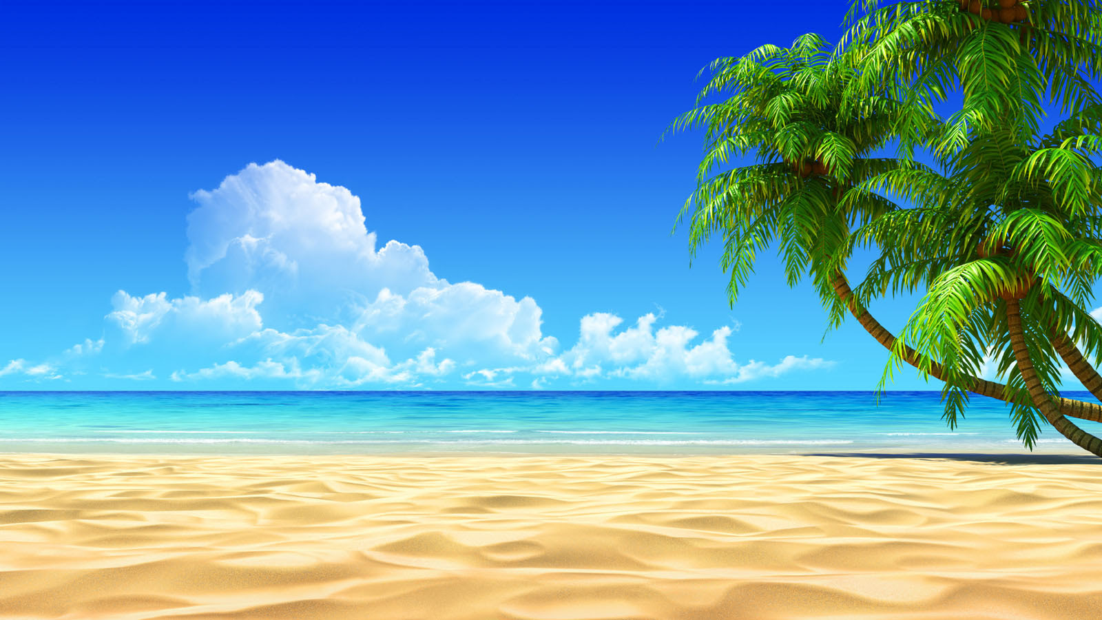 wallpaper images