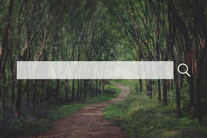13 Super-Easy Ways to Immediately Improve Your SEO
