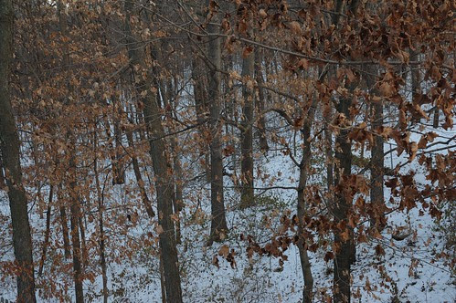 DSC_0009