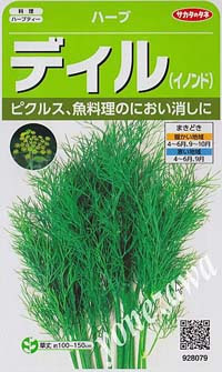 ディルの効用と利用方法