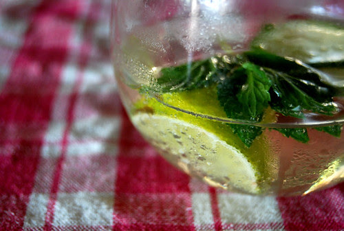 Tonic Water, Lime, Mint, Gingham