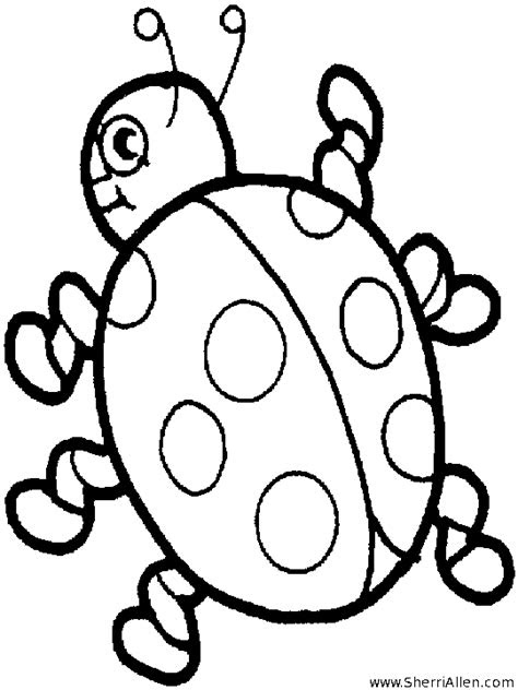 insect coloring pages  sherriallencom