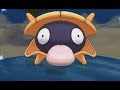 シェルダー ポケモン 貝 179642