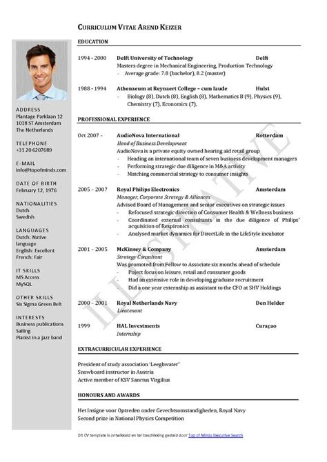 curriculum vitae template word  cv template