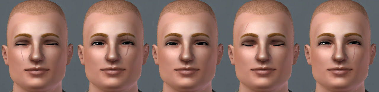 5 scars (left/right cheek, chin, forehead, over the right eye) available 