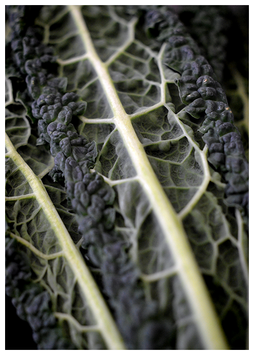 cavolo nero© by Haalo