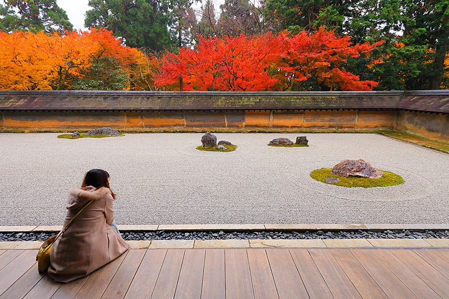 龍安寺 紅葉