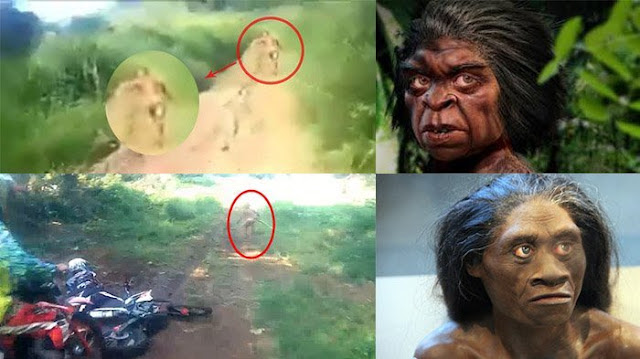Kembali Heboh! Bapak ini Ngaku Pernah Ketemu Suku Mante, Ternyata Begini Ciri-Cirinya! Berita Viral dan Heboh, http://ift.tt/20kt43r - Berita Terbaru Terkini Hari Ini - Beberapa waktu belakangan, publik dihebohkan dengan penampakan sosok manusia kerdil di hutan Aceh. Kehebohan ini bermula, dari rekaman video yang memperlihatkan seorang pemotor trail tengah menyusuri jalanan terjal di pedalaman Aceh.