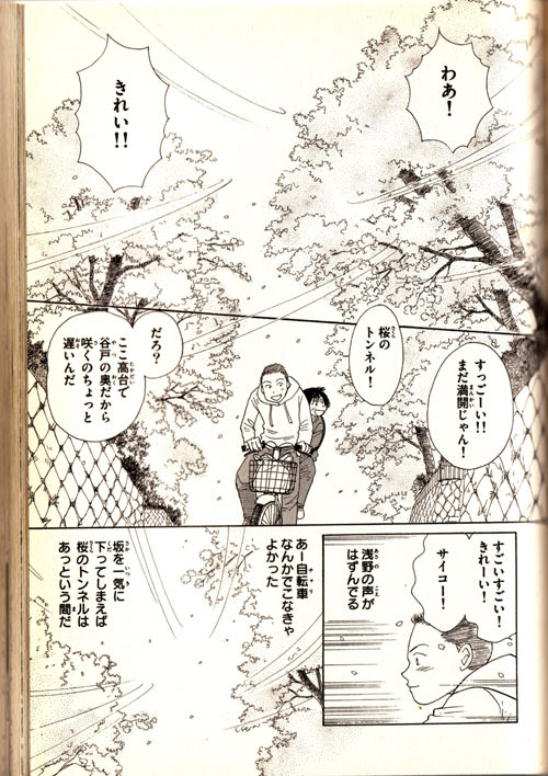 桜の花の満開の下 海街ｄｉａｒｙ 真昼の月より おや爺のブログ