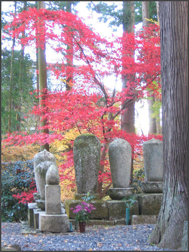 photo number 52: graves and momiji. CLICK to go to the Album START !