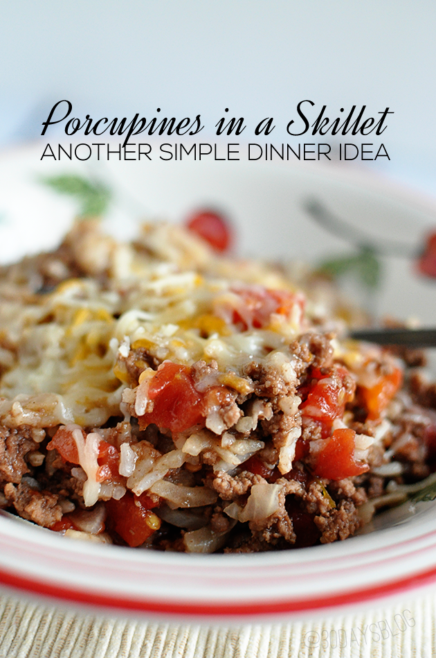 Dinner Ideas: Porcupines In a Skillet