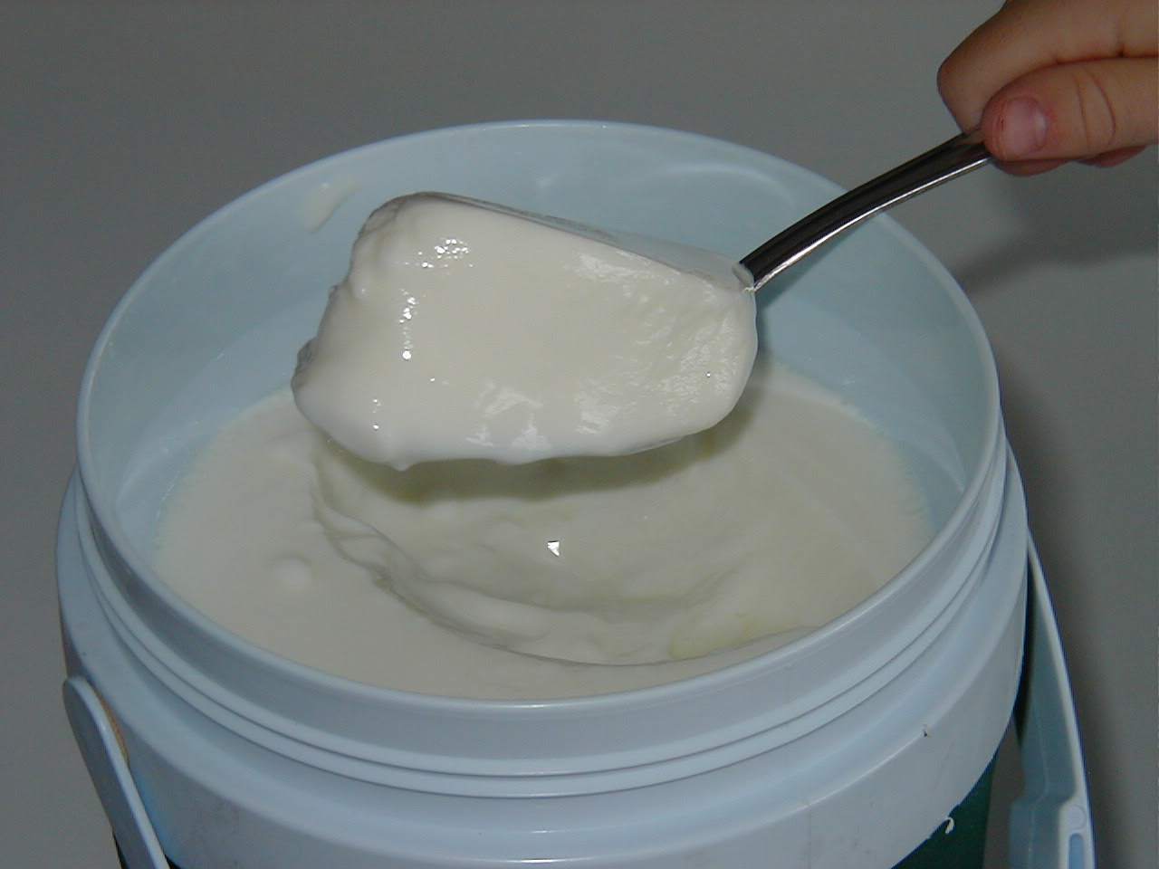 crock maker pot yogurt Recipe Homemade Yogurt