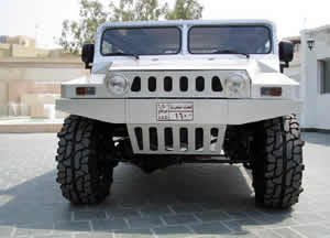 Al-Dhabi - AMV 170m