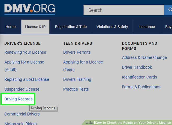 Check the Points on Your Driver's License Step 3.jpg