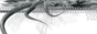 kabisote blog