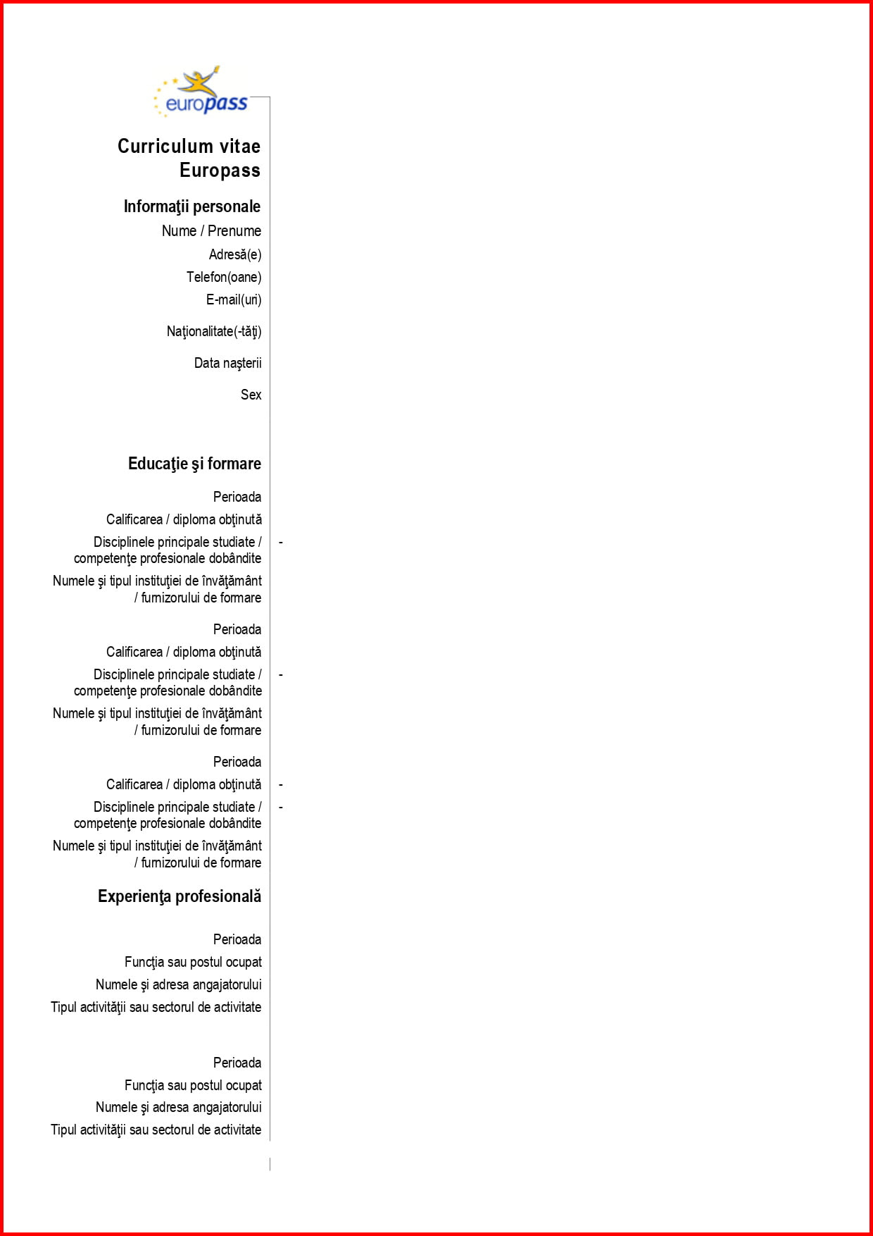 Model Cv European Model Word Pdf Sau Excel