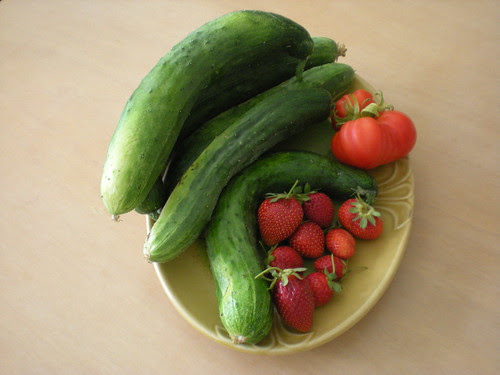 harvest