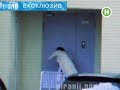 Пьяная Анна Седакова наёбывается у дома 2 часа подряд