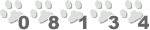 Free Website Counters