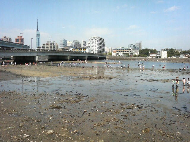 70以上 潮干狩り 室 見川 室 見川 潮干狩り Shirelyturvey