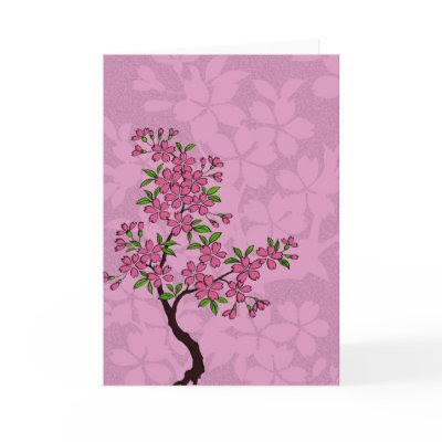 cherry tree blossoming. cherry tree blossom images.