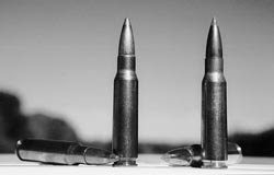 Tailor the tool to the task. Both of these hunting cartridges are .308 Winchester. The 165 grain Federal Premium at left is ideal for large deer, while the 125 grain Nosler Ballistic Tip at right is better suited for smaller animals like pronghorn antelope.