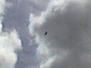 Photo-0375