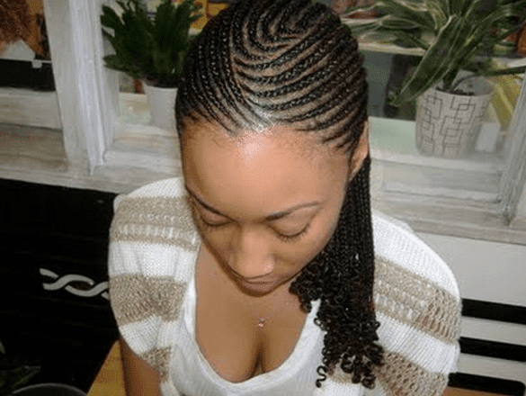 Other Braids Hairstyles For Long Hair African-American / Black Women